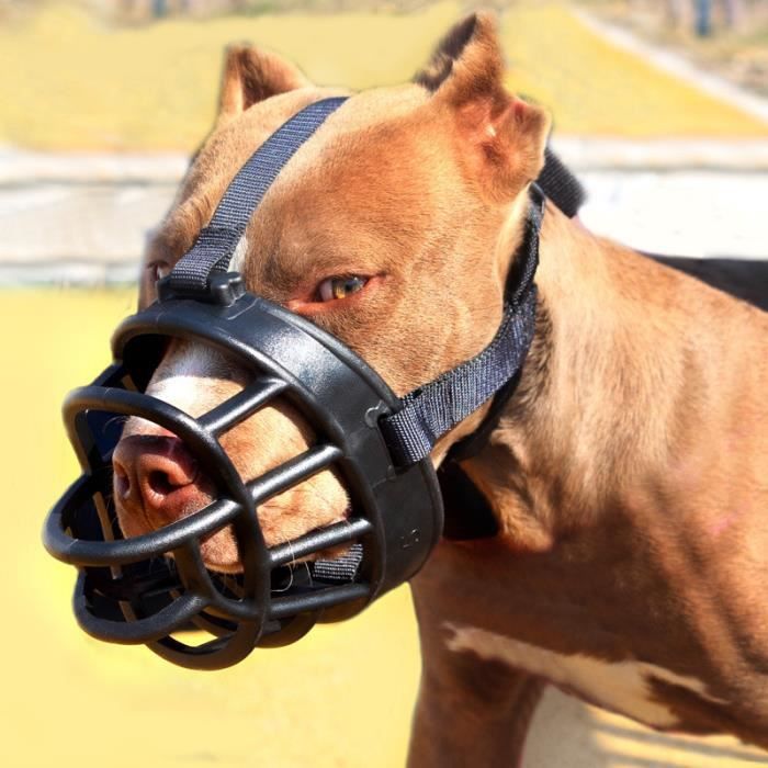 masque protection chien masque protection chien