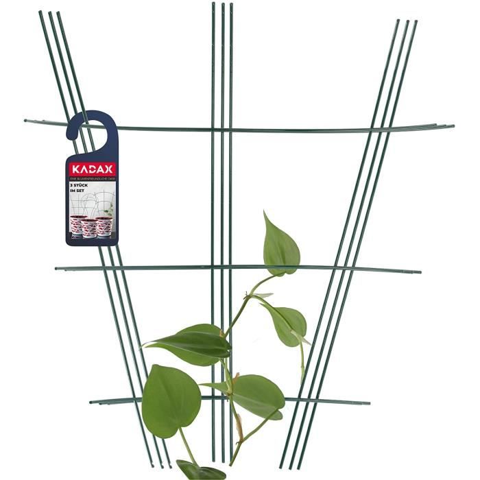 12 Attaches Pour Plantes Grimpantes AIDNTBEO - Support Jardin Tomates, Concombres - Fixation Facile