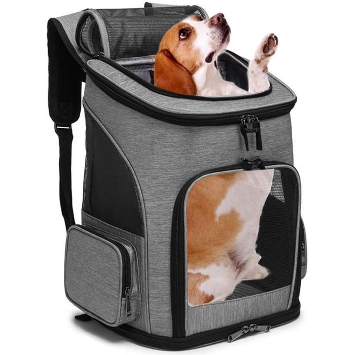 Sac Transport Chat Chien,Caisse de Transport Chat Pliable,Cage Transport  Chat Portable Respirant pour Chat Chien de Moins - Cdiscount