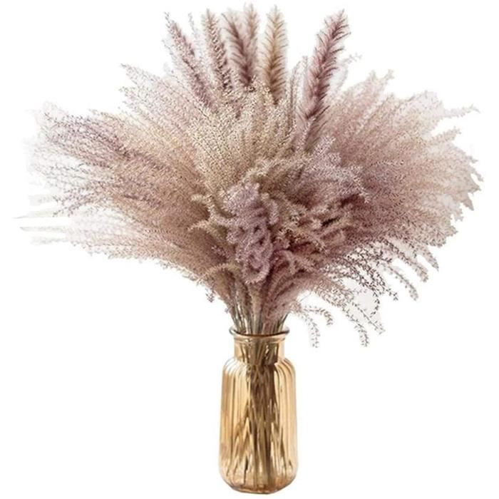 Herbe de la Pampa Seche, 60cm Naturel Pampa Fleur Bouquet de Fleurs Sechees  pour Vases, Boho Decoration Chambre Maison Salon, Mar112 - Cdiscount Maison