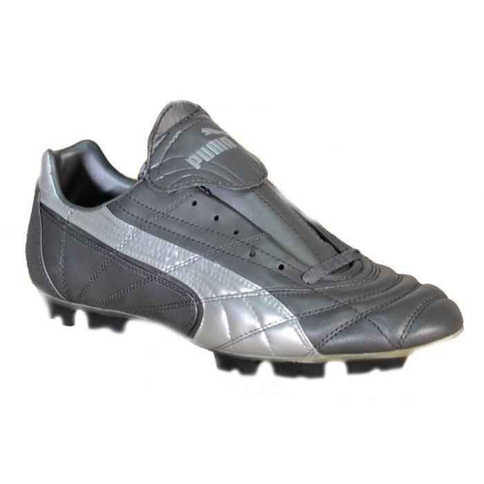 puma mestre