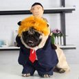 A-M -Costume d'halloween pour petit chien,vêtements amusants,Cosplay chien,veste d'hiver pour petit chien bouledogue français,Ch-2