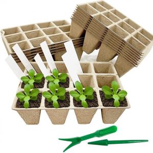 Coffret de germination - Plantes et Pots Pepin - Slood