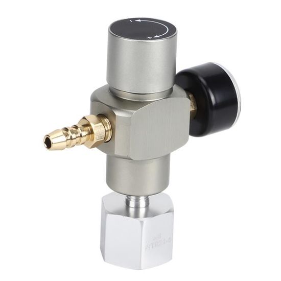 Mini Régulateur de Gaz CO2 avec Interrupteur de Coupure MFL3/8 Po à