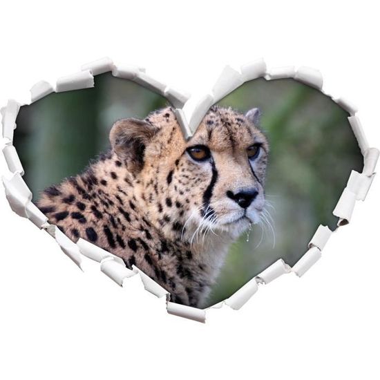 Ravishingly Belle Forme De Coeur De Guepard Dans Le Regard 3d Mur Ou Une Porte Autocollant Format 62x43 5cm Stickers Muraux Stic Cdiscount Maison