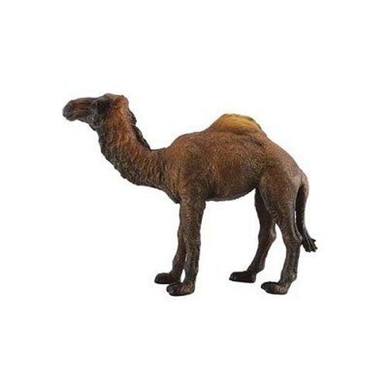 Dromadaire Cdiscount Jeux Jouets