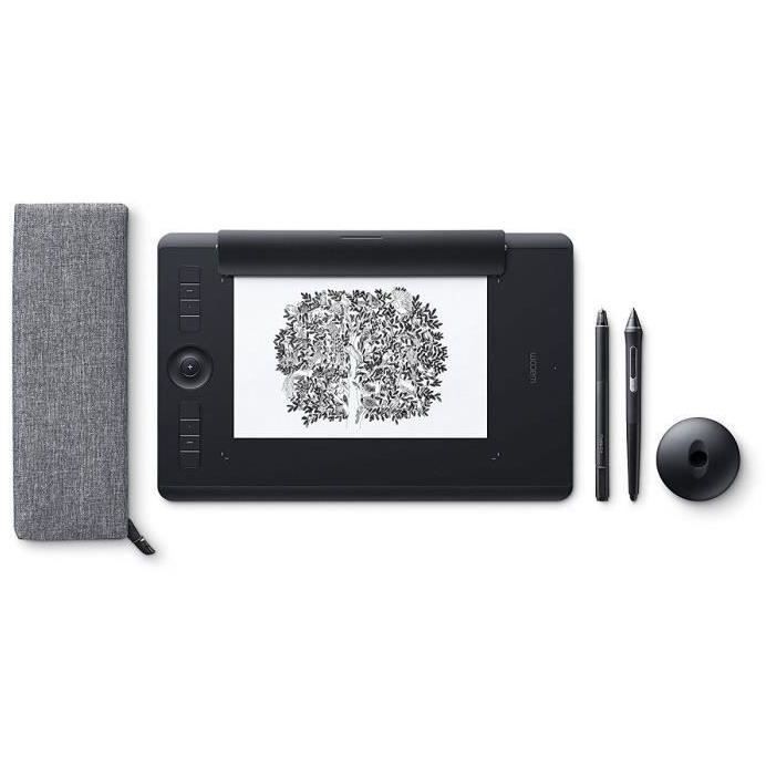 WACOM Tablette graphique Intuos Pro Paper Edition - Large + ACK-20003 5 pointes stylet feutre