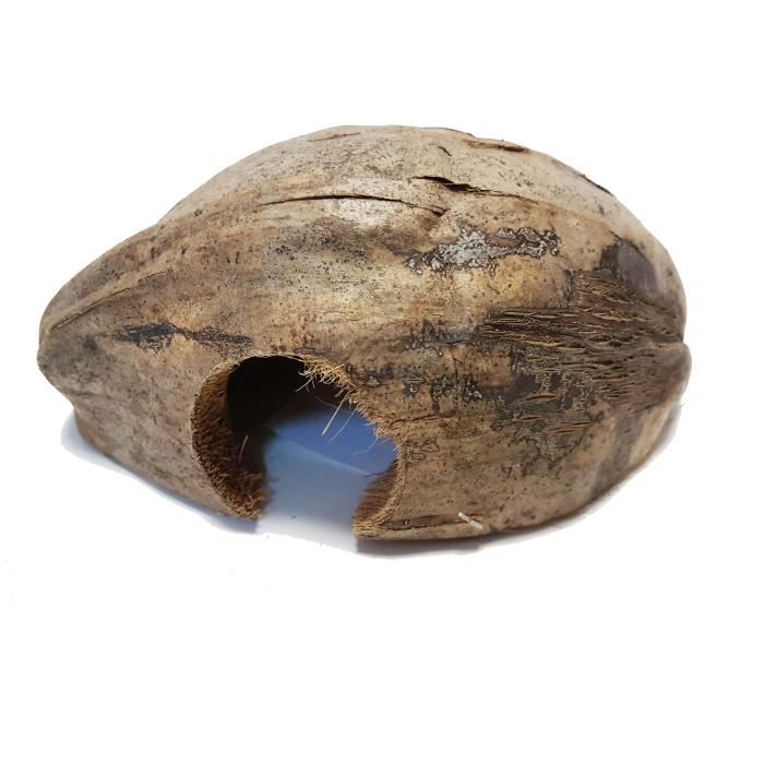 Cachette en coco - REPTILES PLANET - Coco Casa - Marron - Pour lézards - Décoration aquarium