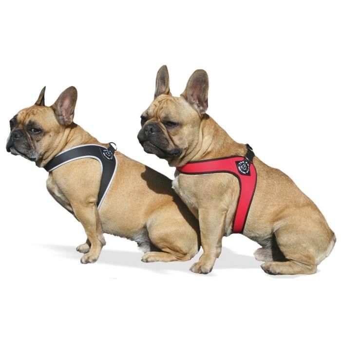 Comparer les prix de Treponti Tre Ponti Fibbia Harnais pour petits chiens Rouge - T200-2R