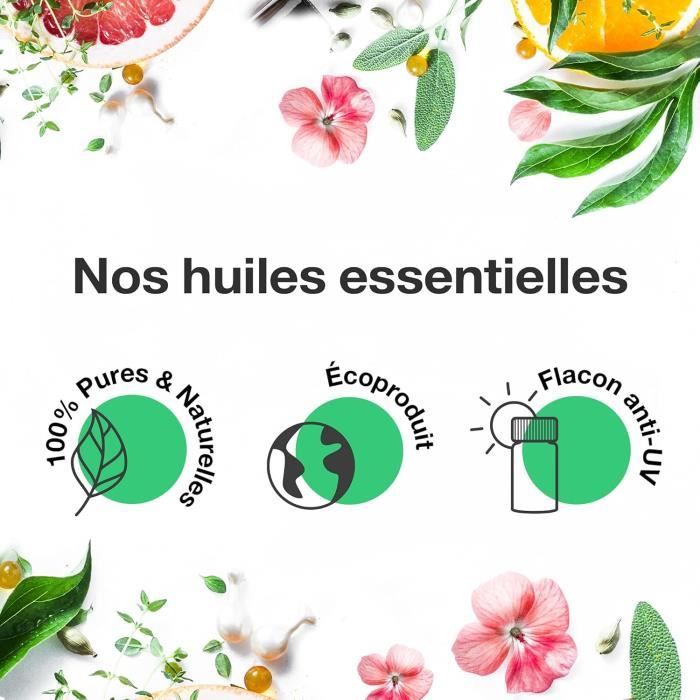 Huile Essentielle D'Estragon - 100% Pure Et Naturelle - Hebbd Et ...