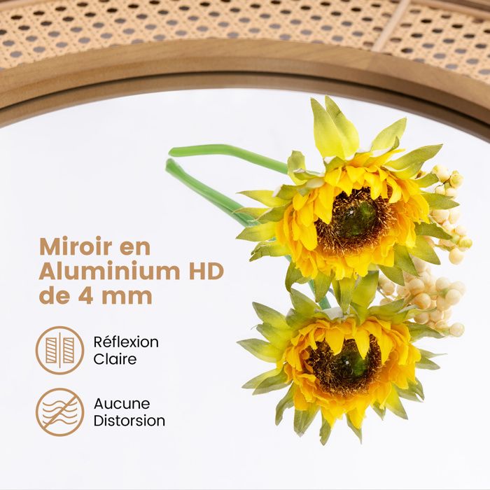 Miroir Mural En Rotin – Cadre Osier Fait Main – Style Rustique Ferme – 76x50 Cm – NEUF