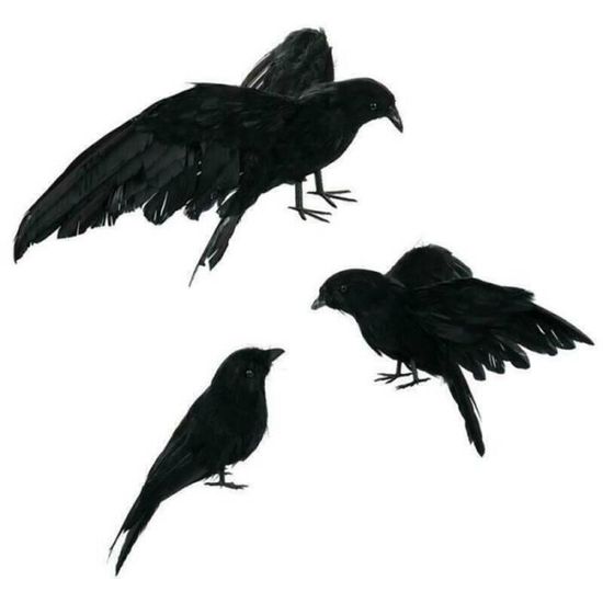 Halloween Prop De Corbeau Noir Corbeau Simule Decoration De Fete Fantasmagorique Maison Party Cdiscount Maison Halloween Prop De Corbeau Noir Corbeau Simule Decoration De Fete Fantasmagorique Maison Party Cdiscount Maison