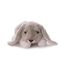 peluche lapin doux