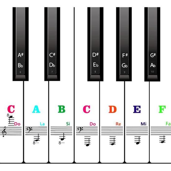 Autocollants de clavier de piano pour touche 88/61/54/49/37, autocollants  de piano à grandes lettres audacieuses pour l'apprentissage, clavier de  piano amovible