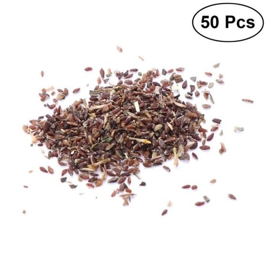 Acheter Graines Chrysanthème? Achat Graines En Ligne