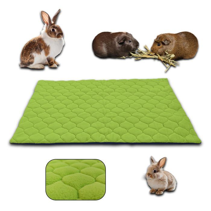 Meilleurs prix pour NEO SOLVO Tapis Litière Polaire pour Cochon d'Inde et Lapin - 50 x 60 cm Vert - Absorbant et Imperméable