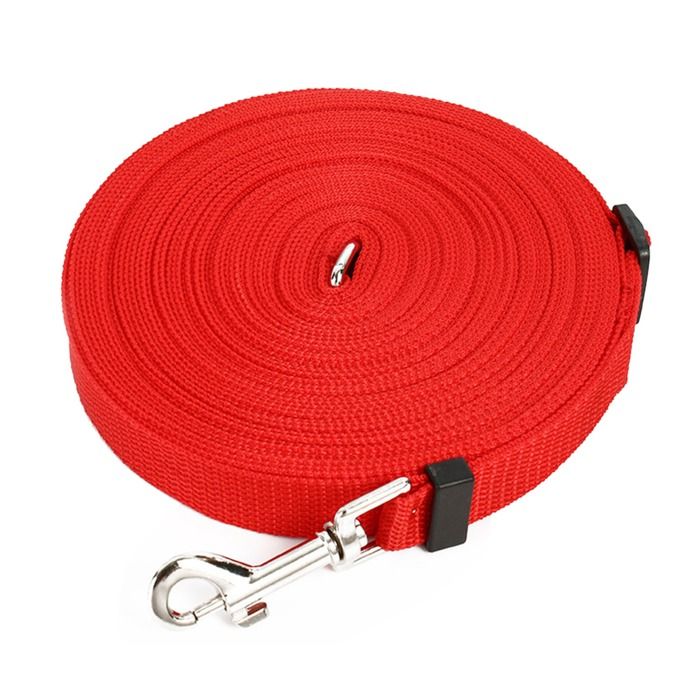 Laisse longue pour chien 10 m réglable et portable pour dressage de chiens de grande taille, randonnée, camping, entraînement,