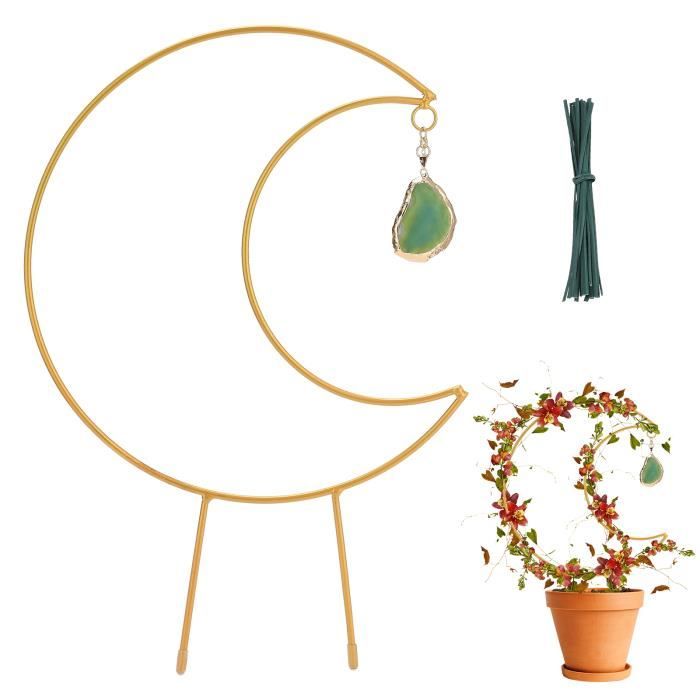 Supports Pour Plantes Grimpantes En Acrylique - Set De 8 Pièces (forme U, Arc Et Tiges Droites) - Hauteur 40 Cm - Intérieur/Extérieur - 12