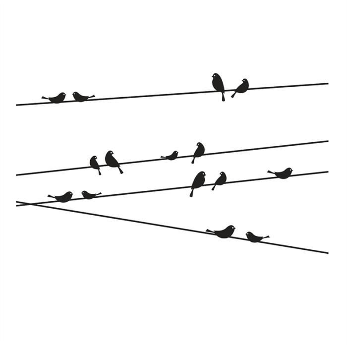 oiseau grimpeur 3 lettres