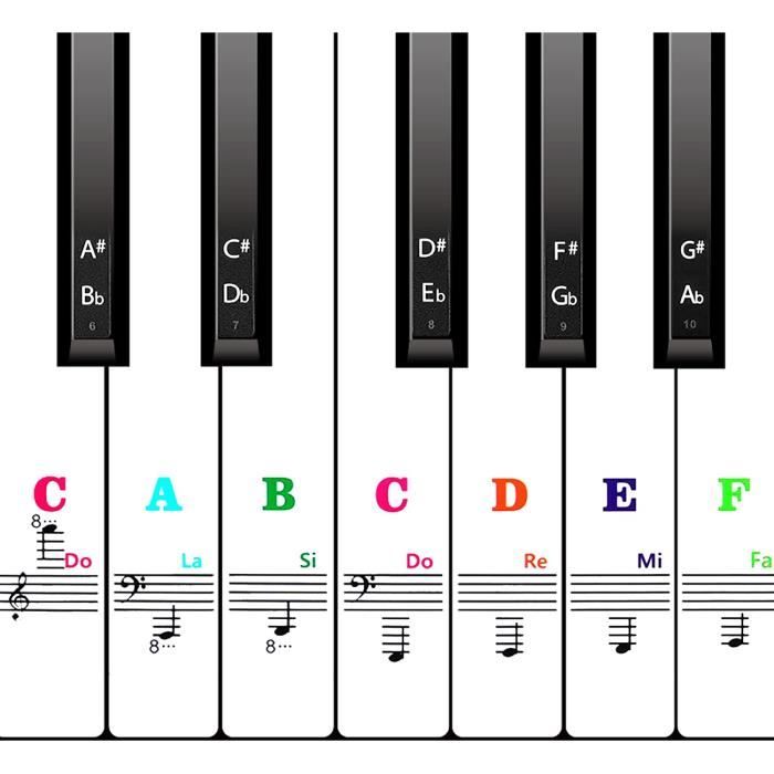 Autocollants de piano,YMWALK autocollants de piano ou de clavier colorés  pour claviers 88/61/49/37, autocollants de notes de touches de piano  transparents et amovibles pour enfants et débutants : :  Instruments de musique