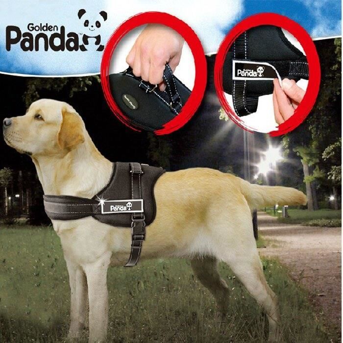 Gilet panda 2025