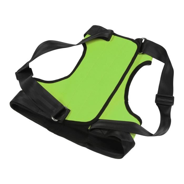 Meilleurs prix pour SALALIS Harnais de Levage pour Chien Aide à la Mobilité des Chiens âgés - Soutien pour Pattes Arrière