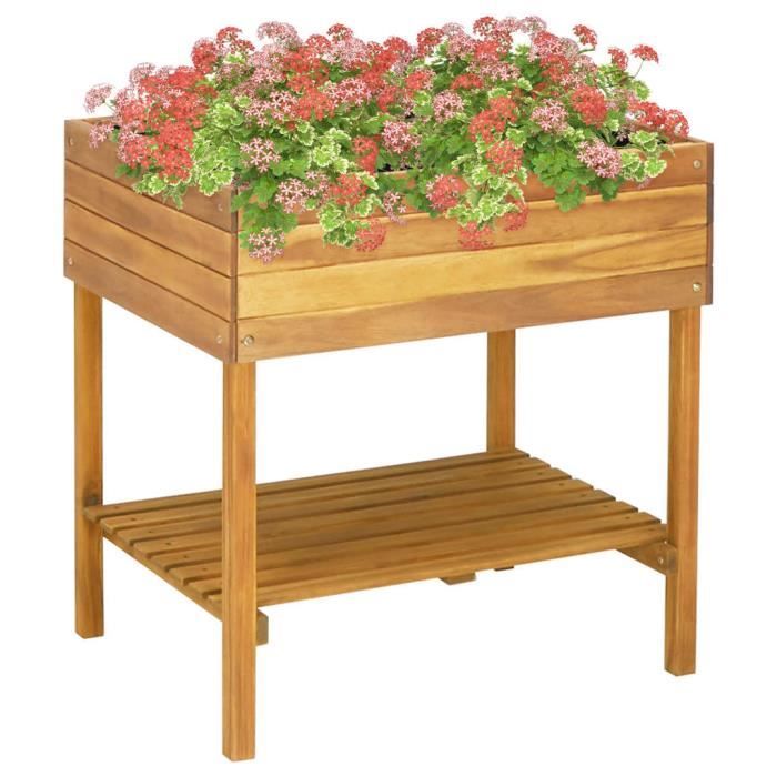 Vidaxl Jardinière surélevée 785x585x785 cm Bois massif dacacia