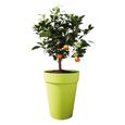 ELHO Loft Urban Pot de fleurs rond Haut 35 - Gris - Ø 34 x H 45 cm - extérieur - 100% recyclé-1