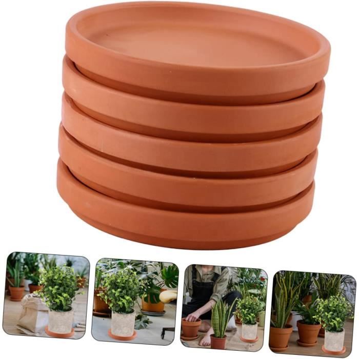 Lot De 10 Petits Pots En Terre Cuite Avec Plateau - 5,5x5 Cm | Pour Succulentes, Cactus | Trou De Drainage | Décoration Intérieure/extérieure