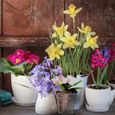 5 pièces Orchidées Pratique en Pot de Fleur Pour Jardin Intétrieur de la Maison jardiniere - bac a fleur jardinage-3