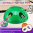 chat interactif