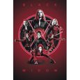 ABYstyle - Marvel - Poster - Black Widow Legacy (91,5x61 cm)-0
