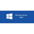 Microsoft Windows Server 2022 - Licence - 1 licence d'accès client périphérique-0