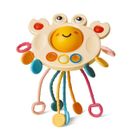 Jouets sensoriels Montessori pour bébés, jouets à tirer, crabe, activité, motricité, cadeaux d'anniversaire
