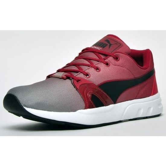 chaussure puma grise
