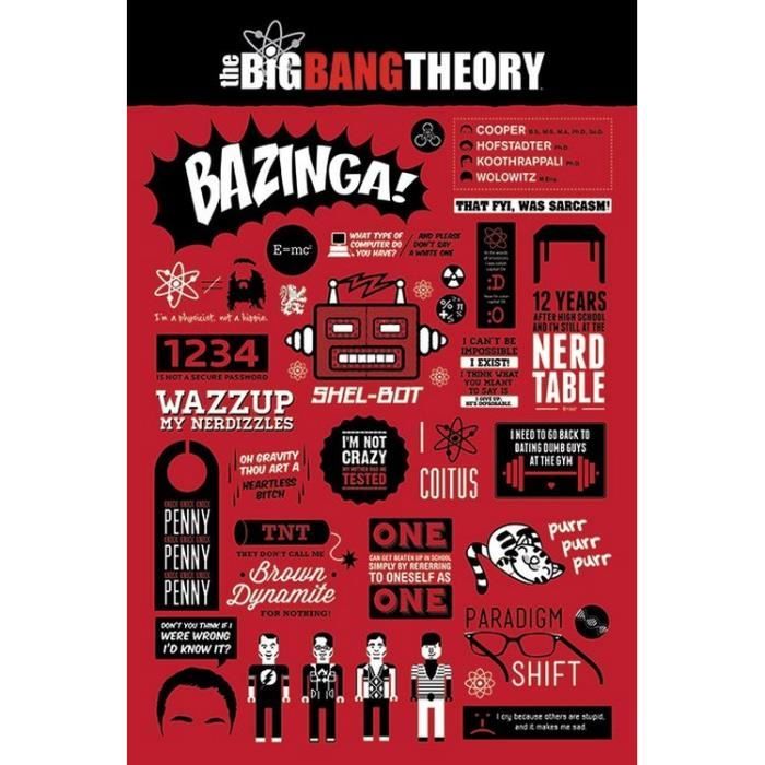 The Big Bang Therory - Infographic - 61x91,5cm - AFFICHE - POSTER