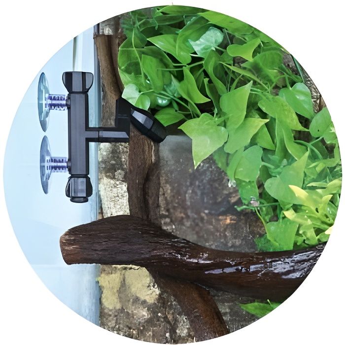 TRIXIE Brumisateur pour vivarium à reptile 6,5L