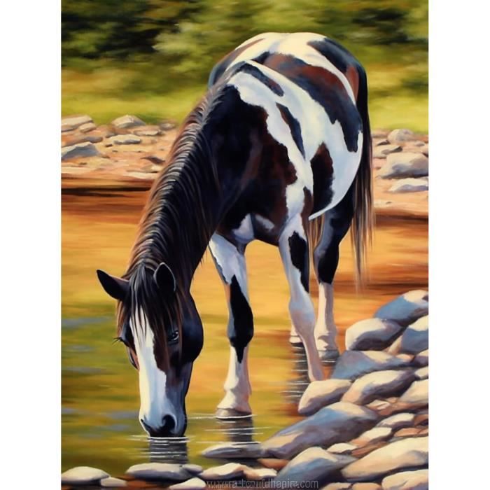 Diamond Painting 5D Plein Forage Maldives Plage Tropicale – Kit Complet 30x40 Cm, Broderie Diamant Polynésien, Loisir Créatif Relaxant