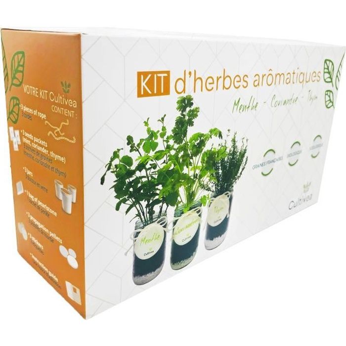 Cultivea – Kit Prêt à Pousser Complet d'Herbes Aromatiques - Cultivez votre  Menthe, Coriandre et Thym – Graines Françaises 100% Bio - Cdiscount Jardin