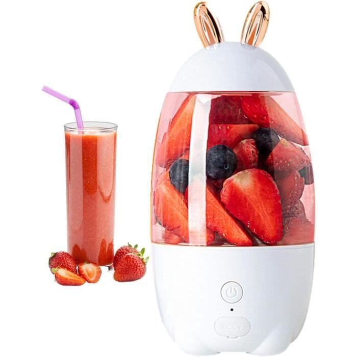 Mixeur Portable Yole 300W - Mini Blender à Jus Et Smoothies