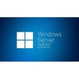 Microsoft Windows Server 2022 - Licence - 1 licence d'accès client périphérique-1