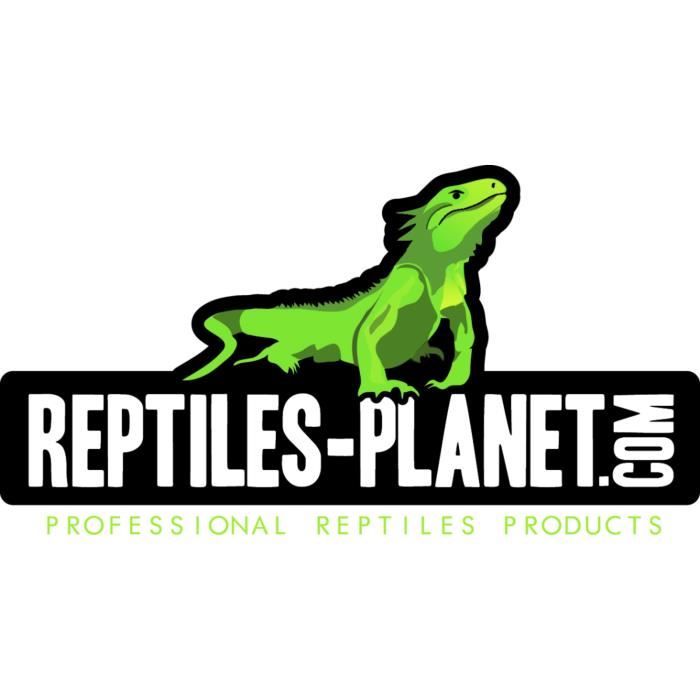 Reptiles Planet - Racine Araignée L - 16 pcs - Prix unitaire