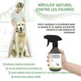 RepellShield Spray Anti Fourmis Naturel - pour Extérieur et Intérieur, 250 ml-2
