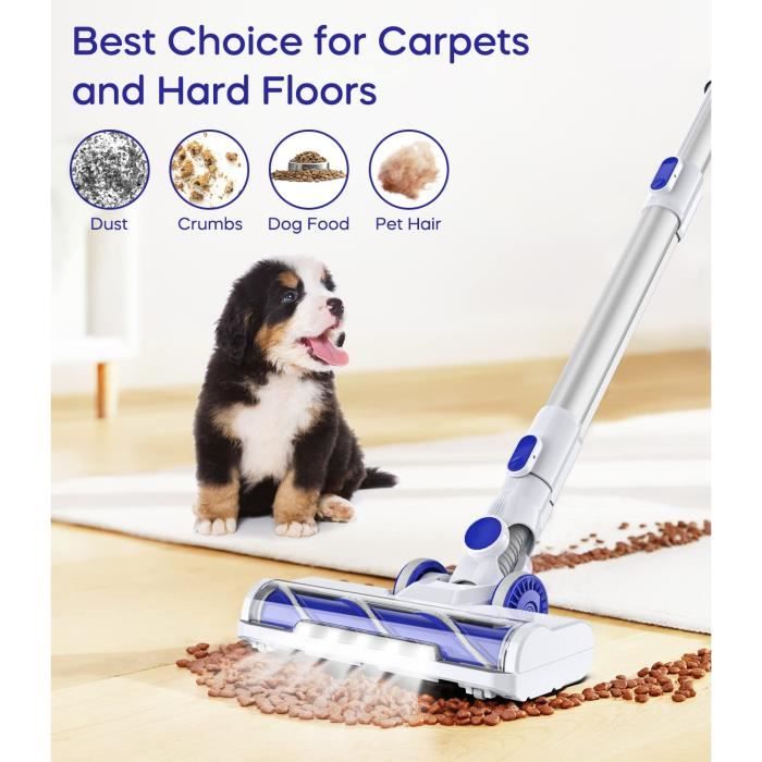 Aspirateur sans sac poil de chien shop