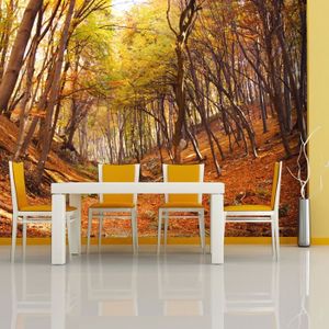 Avoir Images Papier Peint Foret Achat Vente Pas Cher le plus cool par