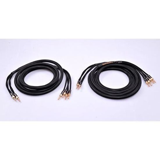 HiViLux Lot de 2 câbles haut-parleurs avec fiches bananes 2,5 m 