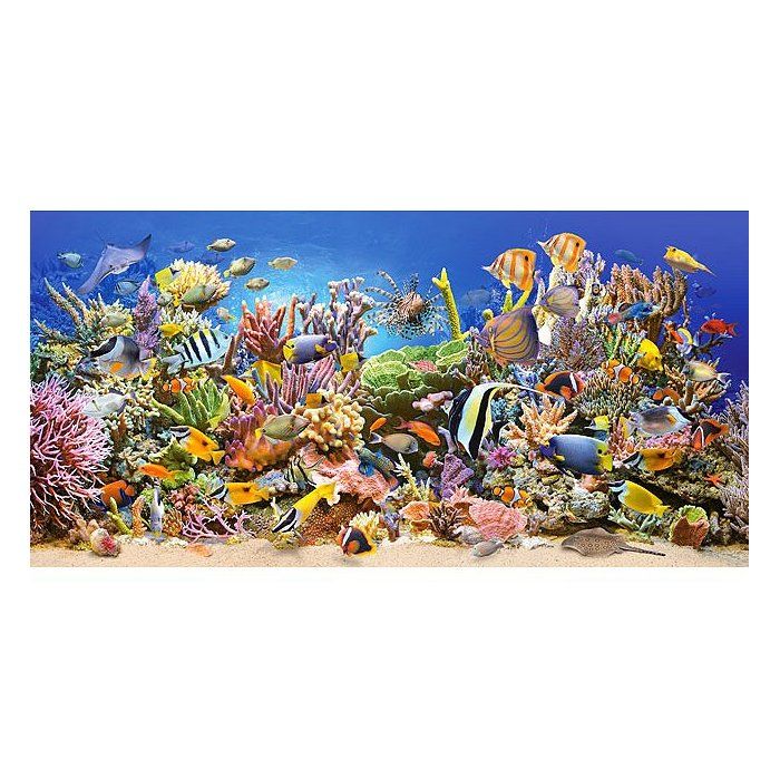 Puzzle 4000 pièces : Vie sous-marine