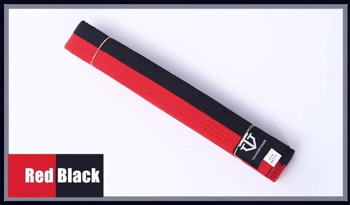 LLLucky Ceinture De Taekwondo Professionnelle Karaté Judo Double Wrap Ceinture De Sport à Rayures Pour Arts Martiaux 1.8 M/2.8 M Ceinture Jaune Blanche