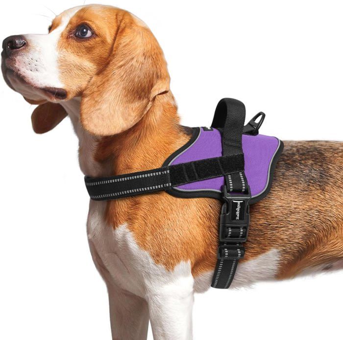 Comparer les prix de Harnais Chien Harnais Anti Traction pour Chien Réfléchissant Réglable Respirant Facile à Mettre avec Poignée Contrôle Violet M