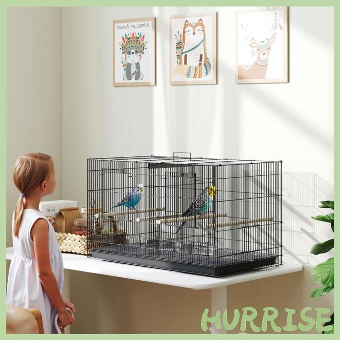 Cocosity Cage À Oiseaux Volière Intérieur Acier Avec Séparateur 4 Perchoirs Plateau Coulissant 4 Mangeoires 76 X 46 X 46 Cm Noir